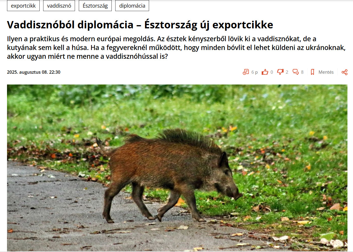 Kas Eesti Nokiaks osutus metssea-diplomaatia?