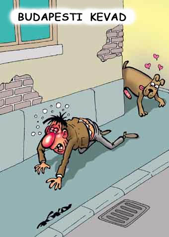 Koerad ja hobused – meie kaaslased