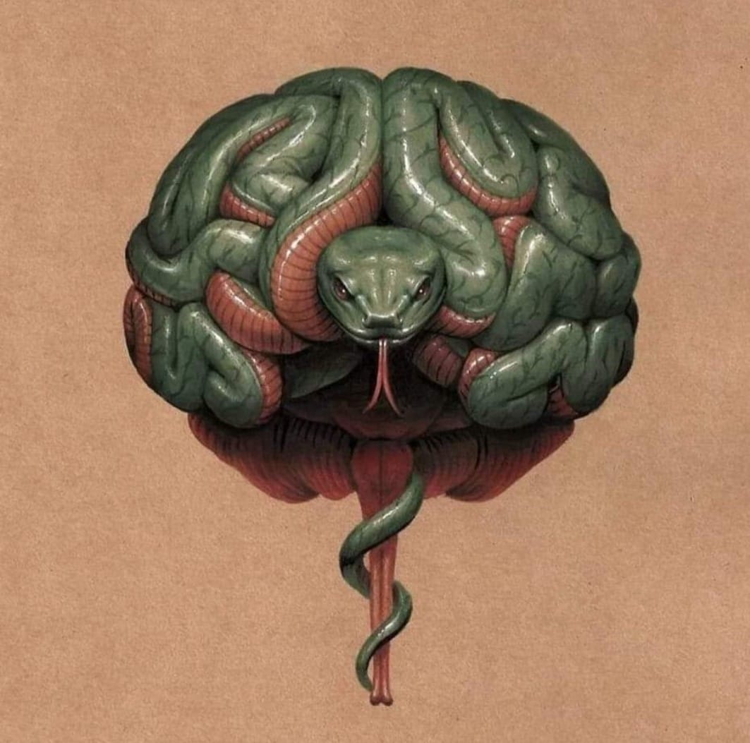 „Heade mõtete kastis“ on… riigikogulase paugutamisõigus! (32. saade)