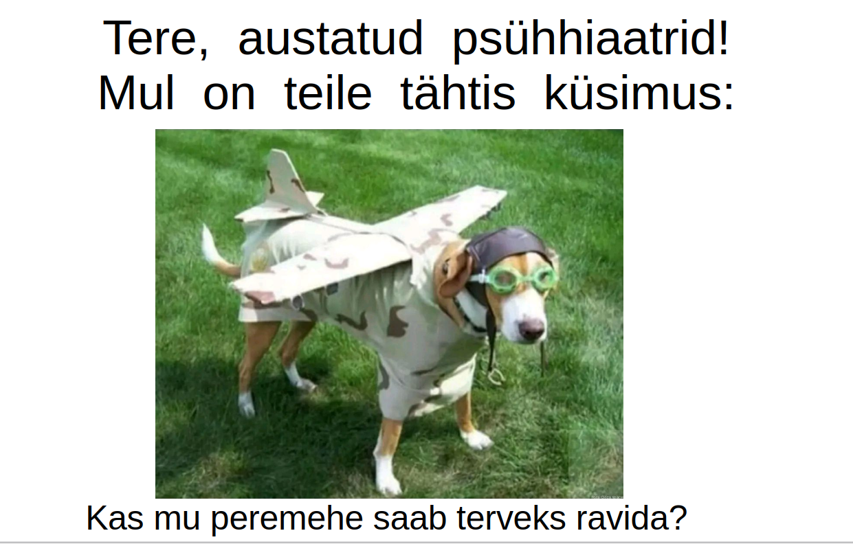 „Heade mõtete kastis“ on… raviotsing peast segi sõjardeile !